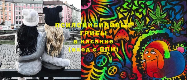 стафф Верхний Тагил